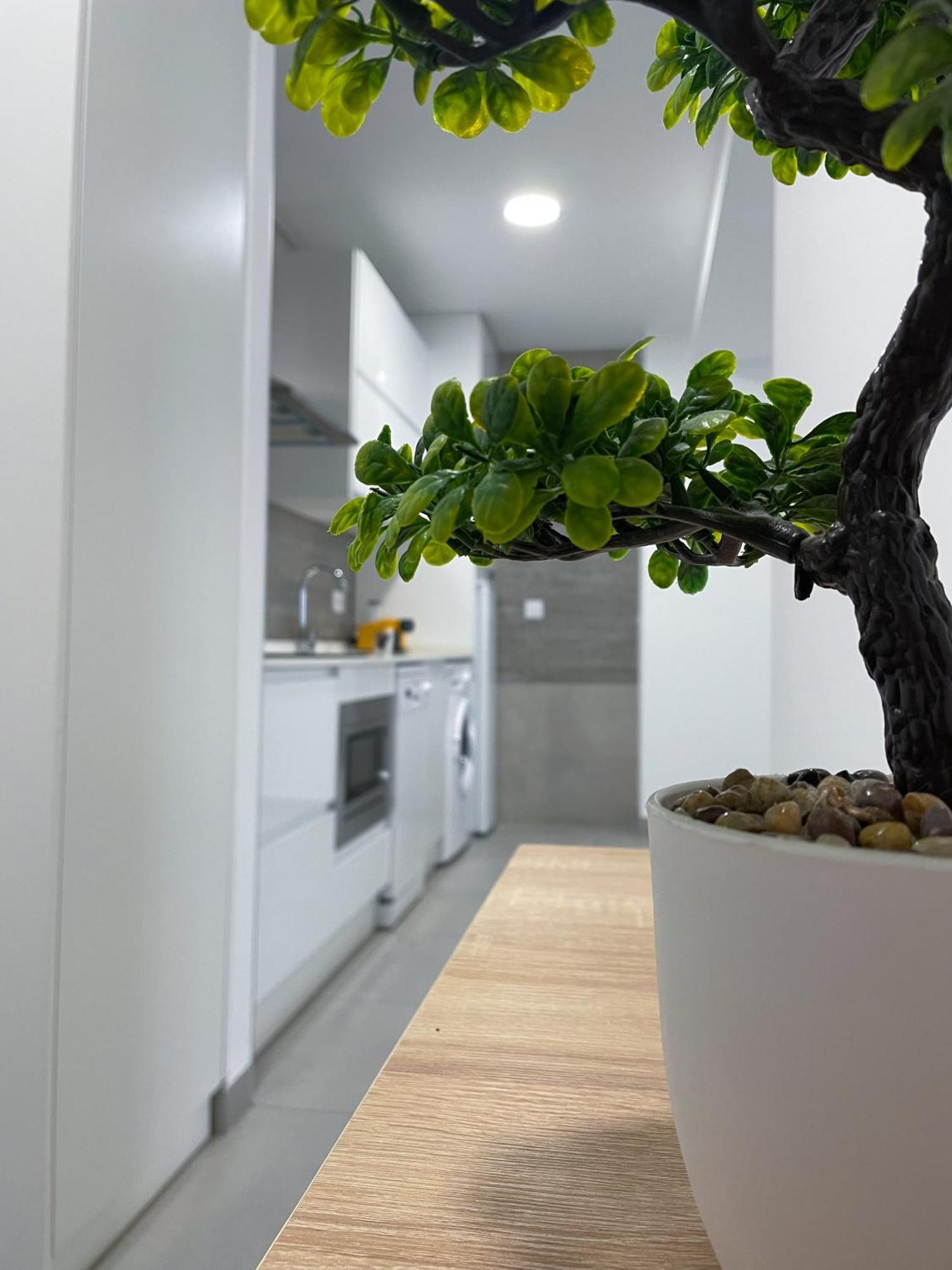 Apartamentos Lusitania Parking Gratis Bajo Disponibilidad 메리다 외부 사진